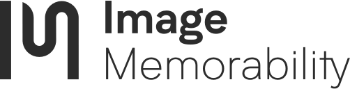 icon-image-memorability